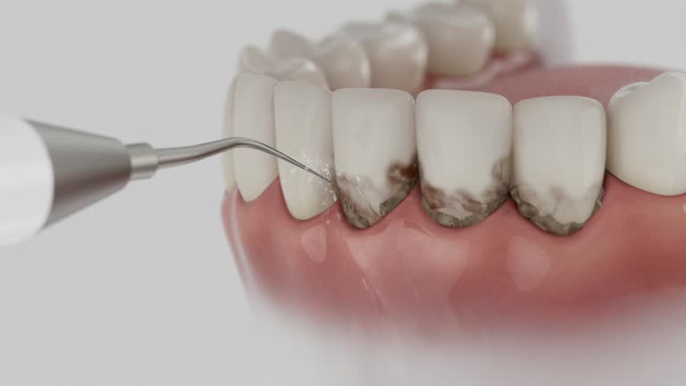 Reliable Dental contractor in Rosemont, CA by Dentist Open Now